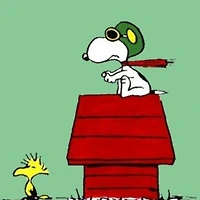 작가 프로필 이미지