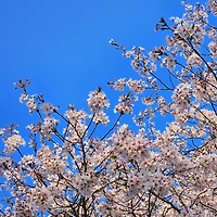 작가 프로필 이미지