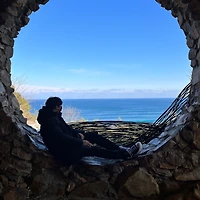 작가 프로필 이미지