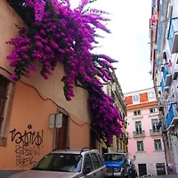 작가 프로필 이미지