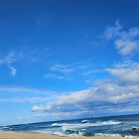 작가 프로필 이미지