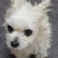 작가 프로필 이미지