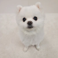 작가 프로필 이미지