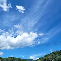 작가 프로필 이미지