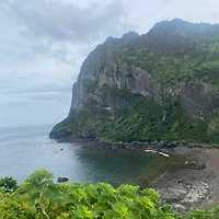 작가 프로필 이미지