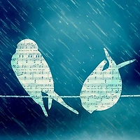 작가 프로필 이미지