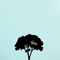 작가 프로필 이미지