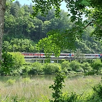 작가 프로필 이미지