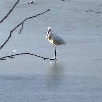 작가 프로필 이미지