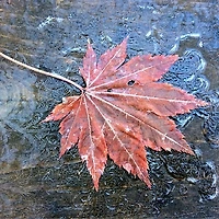 작가 프로필 이미지