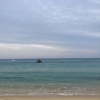 작가 프로필 이미지