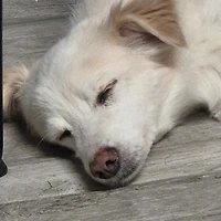 작가 프로필 이미지