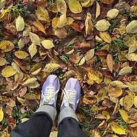 작가 프로필 이미지