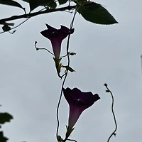 작가 프로필 이미지