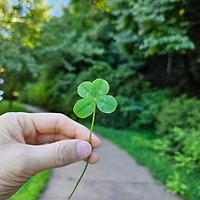 작가 프로필 이미지