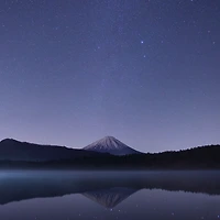 작가 프로필 이미지