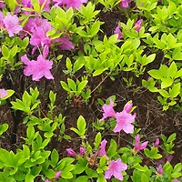 작가 프로필 이미지