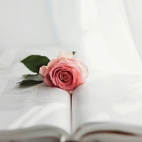 작가 프로필 이미지