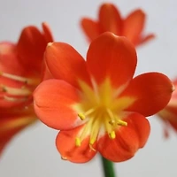 작가 프로필 이미지