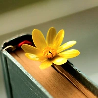 작가 프로필 이미지