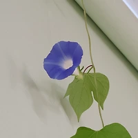 작가 프로필 이미지