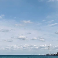 작가 프로필 이미지