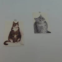 작가 프로필 이미지