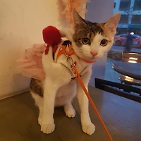 작가 프로필 이미지