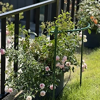 멤버십 가입 혜택 작가 프로필