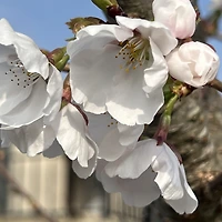 멤버십 가입 혜택 작가 프로필