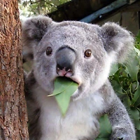 멤버십 가입 혜택 작가 프로필