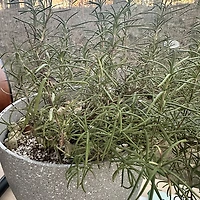 작가 프로필 이미지