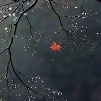 작가 프로필 이미지