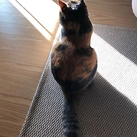 멤버십 가입 혜택 작가 프로필