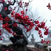 멤버십 가입 혜택 작가 프로필