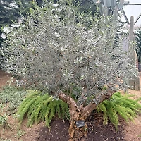 멤버십 가입 혜택 작가 프로필