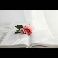 작가 프로필 이미지