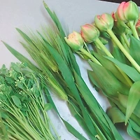 멤버십 가입 혜택 작가 프로필