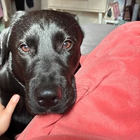 멤버십 가입 혜택 작가 프로필