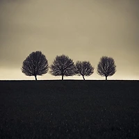 멤버십 가입 혜택 작가 프로필