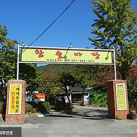 참솔마당장작구이 이미지