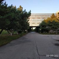 카지노 게임 사이트