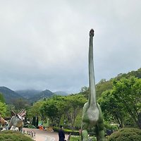 카지노 게임
