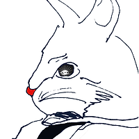블랙잭 용어