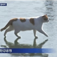 카지노 가입 쿠폰