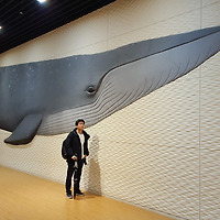 사설 카지노