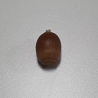 쇼미더벳