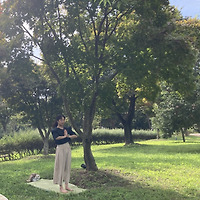 카지노 게임