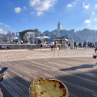 카지노 게임 사이트