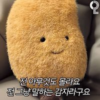 샌즈 카지노 사이트